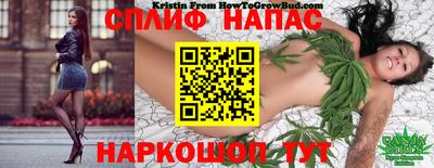 тгк Коммунар