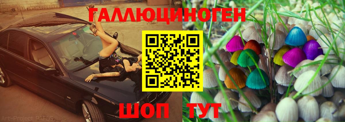 Галлюциногенные грибы ЛСД  Галлюциногенные грибы Psilocybe  Ставрополь  Вход с VPN 